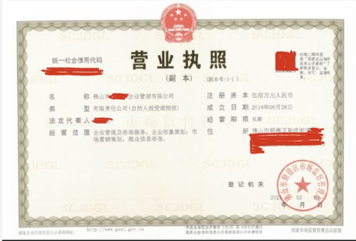 順德區企業管理公司不懂填寫經營范圍,靠代理3天完成公司注冊