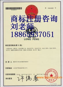 東營商標(biāo)注冊代理公司 東營商標(biāo)注冊成功率,東營商標(biāo)注冊代理公司 東營商標(biāo)注冊成功率生產(chǎn)廠家,東營商標(biāo)注冊代理公司 東營商標(biāo)注冊成功率價格